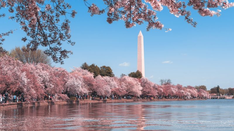 Activities to Do in Washington DC