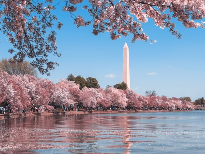 Activities to Do in Washington DC